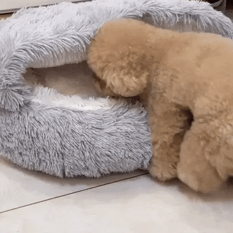 SnuggleNest | Plush Bed For Pets